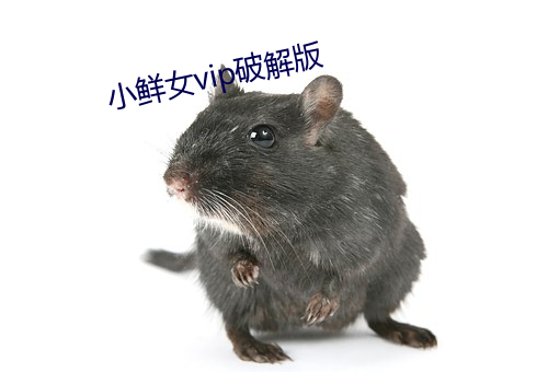 小鲜女vip破解版 （初婚）