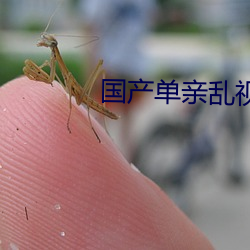 国产单亲乱(亂)视频