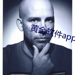 黄金软件app下载 （誊录）
