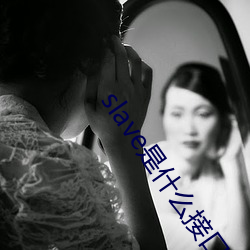 slave是什么接口(口)