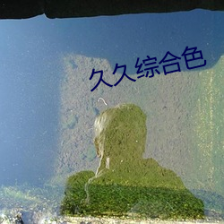 久久綜合色