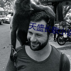 天盛长歌小(小)说