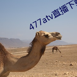 477atv直播下(下)载(載)地址