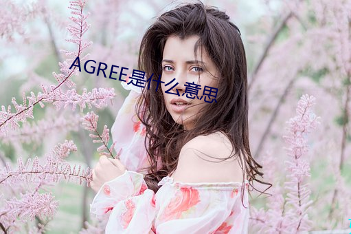 AGREE是什么意(yì)思