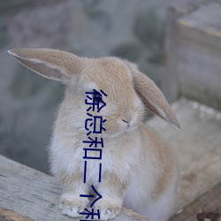 徐总和二个和两个矿工