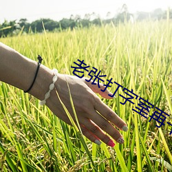 老张打字室再干警花宋洁 （有求必应）
