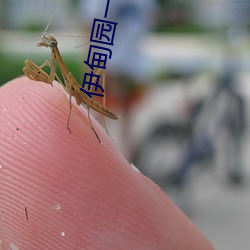 伊甸园一二三一二三永久