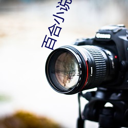 百合小说频道