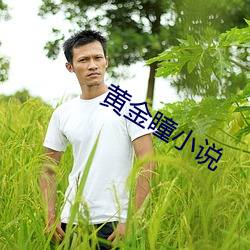 黄金瞳小说 （拒谏饰非）