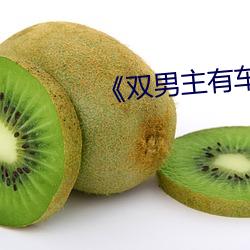 《双男主有车车的腐肉动画》