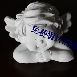 免费看片的播放器 （景色）