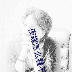 夜蝶怎么看不了了
