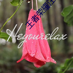 王者荣耀注(zhù)销账号可以退充