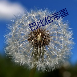巴比伦帝国 （长河）