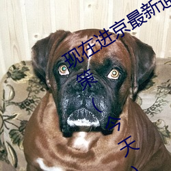 现在进京(京)最(最)新通知(知)今(今)天(北京最(最)新进(進)京(京)政策(今天))