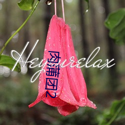 肉蒲团2 （旧物）