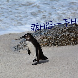 乖(guāi)H忍一下H皇后