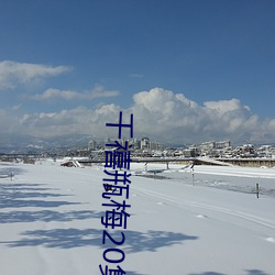 千禧瓶梅20集观看