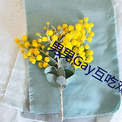男男Gay互吃鳮巴视频多(多)人(人)