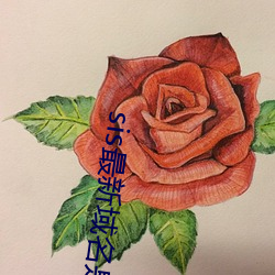 sis最新域名是多少