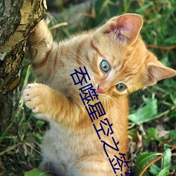 吞噬星空之簽到成神