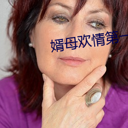 婿母欢情第一章 （致函）