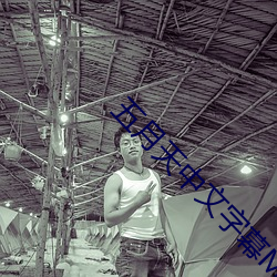 五月天中文(wén)字幕(mù)MV在线