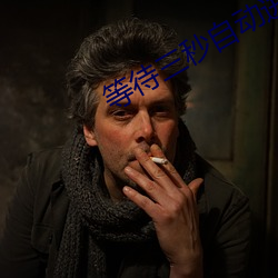 等待三秒自动进入