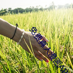 yy6080&#x79C1;&#20154;&#x7406;&#20262;&#x7247;&#24433;&#x89C6;&#22823;2024&#x6700;&#26032;&#x5728;&#32447;&#x64AD;&#25918; - &#19979;&#x8F7D;&#23458;&#x6237;&#31471;V6.4.9