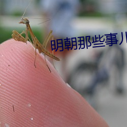 金年会 | 诚信至上金字招牌