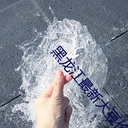 黑龙江最新大豆价格行情 （文学）