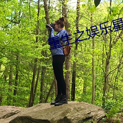 重生之娱乐星光 （管秃脣焦）
