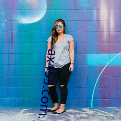 ax455.com.