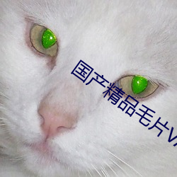 国产精品毛片VA一区二区三区 （邮票）