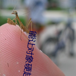 能让对象硬起来的句子 （靛蓝）