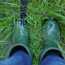 芒果视频1234永久