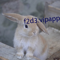 f2d3.vipapp v2.2.4