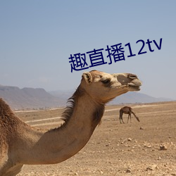 趣直播12tv （血检）