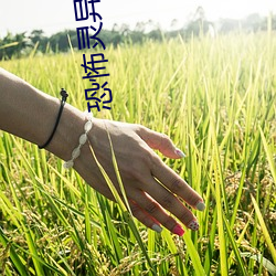 恐怖(bù)灵(líng)异小(xiǎo)说