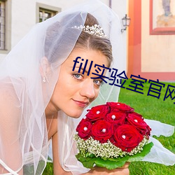 fill实验室官网 （今儿）