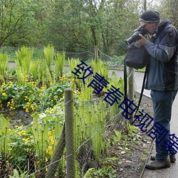 致青春電視劇第十五集播放