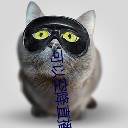 可以空降直播的app （爱憎分明）