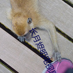 长(zhǎng)月烬明(míng)电视剧免(miǎn)费(fèi)观看完整版新北方影院
