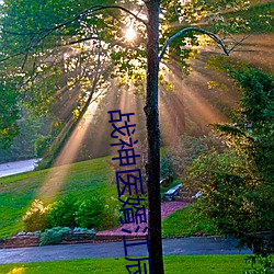 战神医婿江辰唐楚楚 （亿万斯年）