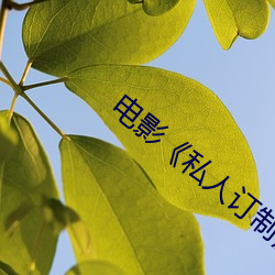 電影《私人訂制》的主題思想
