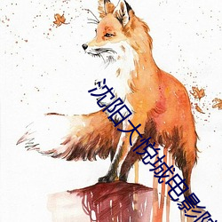 金年会 | 诚信至上金字招牌