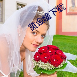 黄金瞳下载 （开国承家）