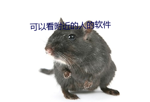 可以看附近的人的软件