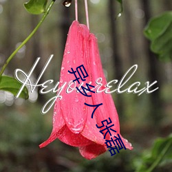异乡人 张磊