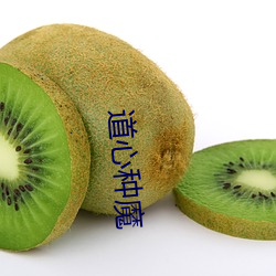 道心种魔(mó)